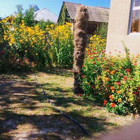 House On Ashiq Cuma Street 8 Bed & Breakfast Sheki Exterior photo