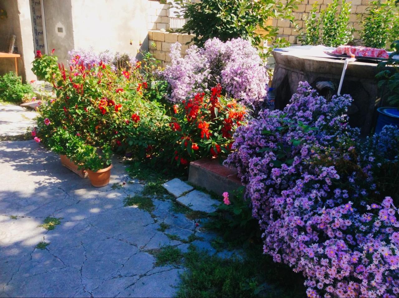 House On Ashiq Cuma Street 8 Bed & Breakfast Sheki Exterior photo